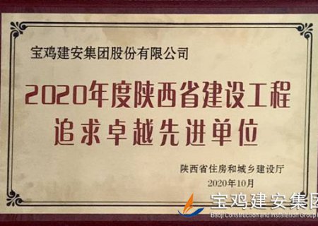 2020年度陜西省建設工程追求卓越先進(jìn)單位