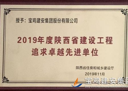 2019年度陜西省建設工程追求卓越先進(jìn)單位